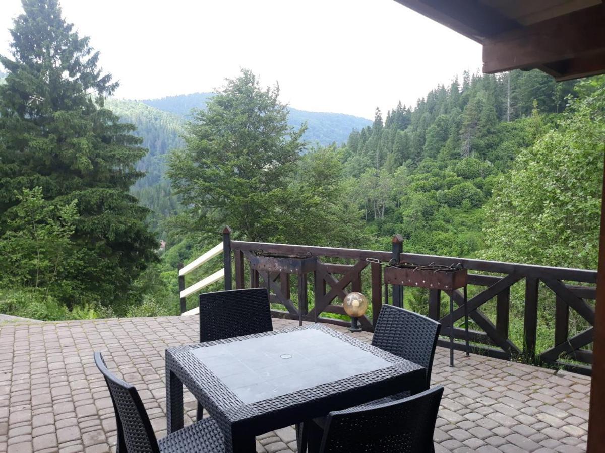 Villa Alpiyka Slavske Exterior foto